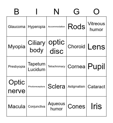 The Eye and Vision Bingo Card