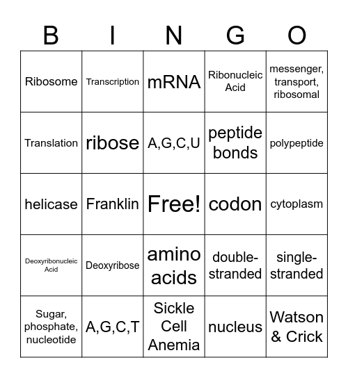 DNA & Protein Synthesis Review Bingo Card