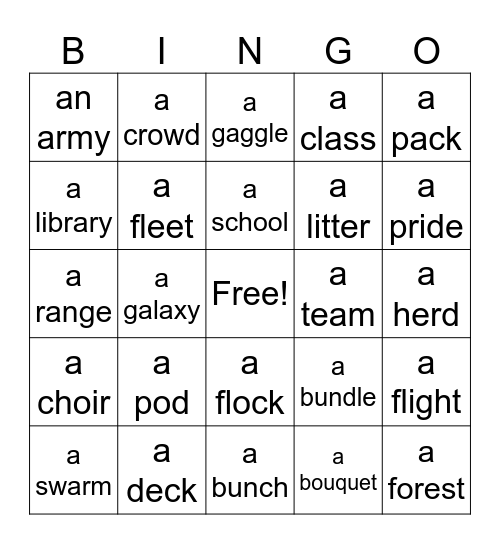 Collective Nouns Bingo Card