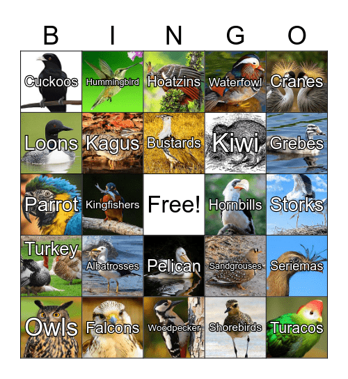 Bird Bingo Card