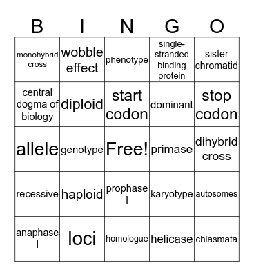 Biology 120 Bingo Card