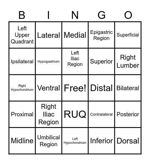 A & P Bingo 1 Bingo Card