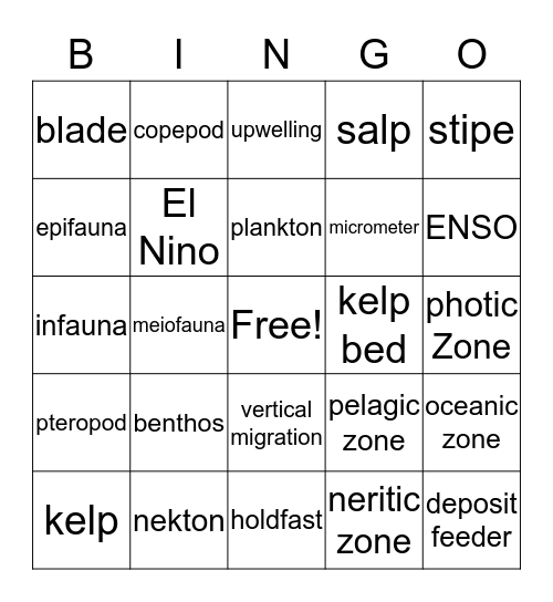 Epipelagic Bingo Card