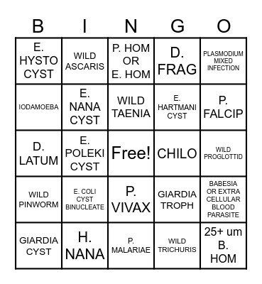 PARASIT 2024 BINGO Card