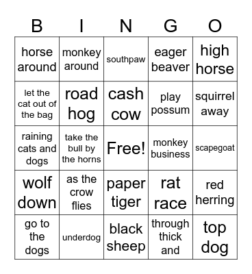 Idioms and Expression Bingo Card