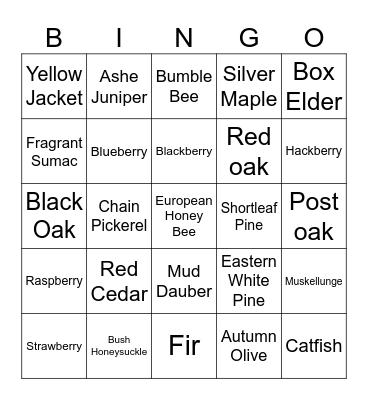 Nature Made Bingo Card