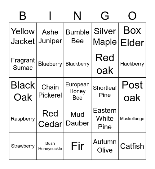 Nature Made Bingo Card