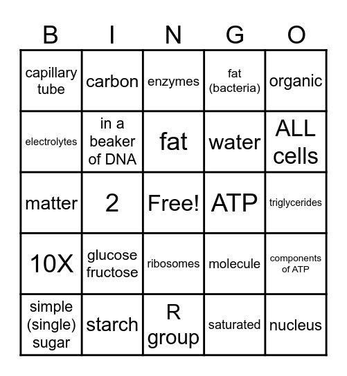 Chemistry of Biology Bingo Card