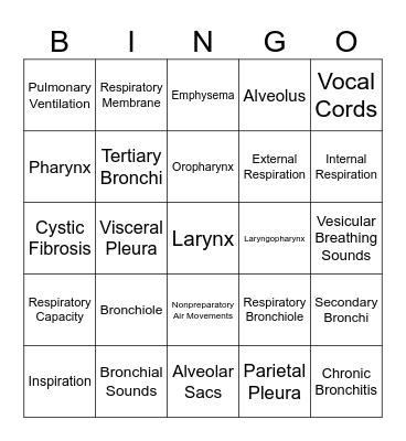 Respiratory System Bingo Card
