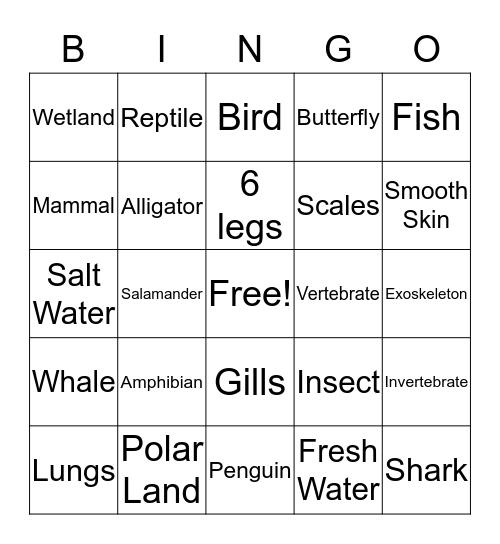 Animal Classification Bingo Card