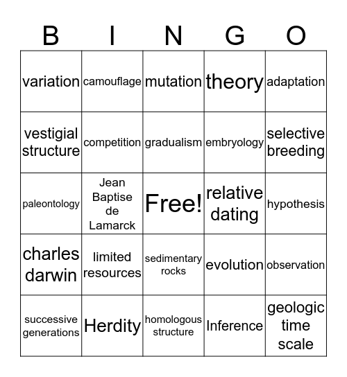 Evolution Bingo Card