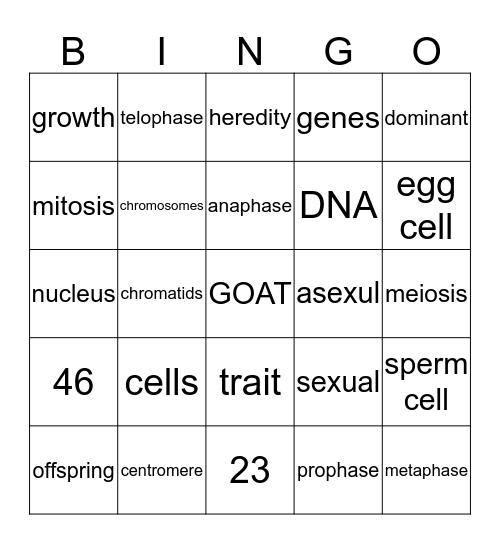 BINGO :) Bingo Card
