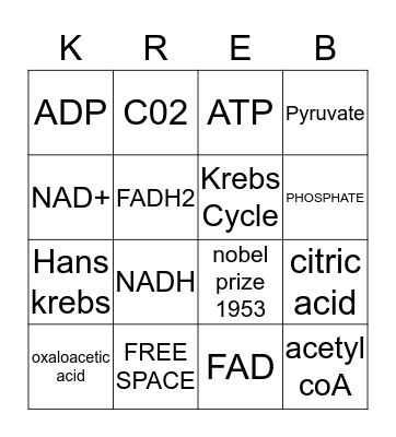 KREBS CYCLE Bingo Card