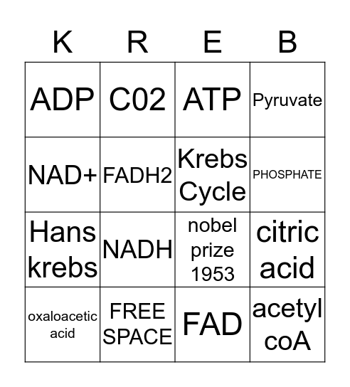 KREBS CYCLE Bingo Card