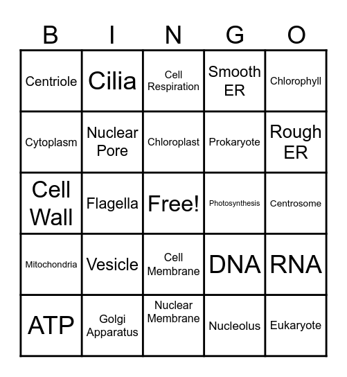 THE CELL Bingo Card