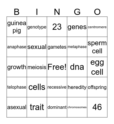 boring stuff Bingo Card