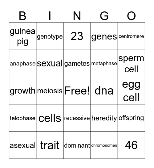 boring stuff Bingo Card