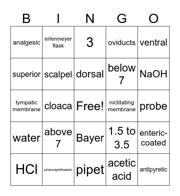STEAM 2024 Bingo Card