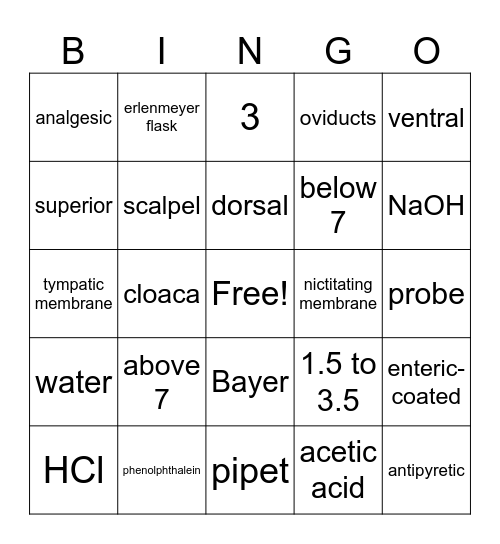 STEAM 2024 Bingo Card