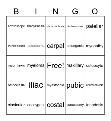 Musculoskeletal System Bingo Card