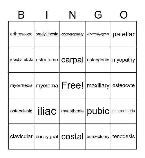 Musculoskeletal System Bingo Card