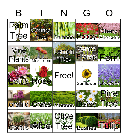 Types of Plants Bingo Card