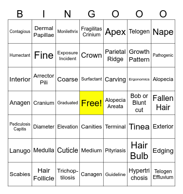 Haircutting Test Review Bingo Card