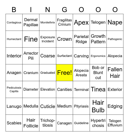 Haircutting Test Review Bingo Card