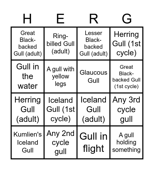 Gulling Bingo Card