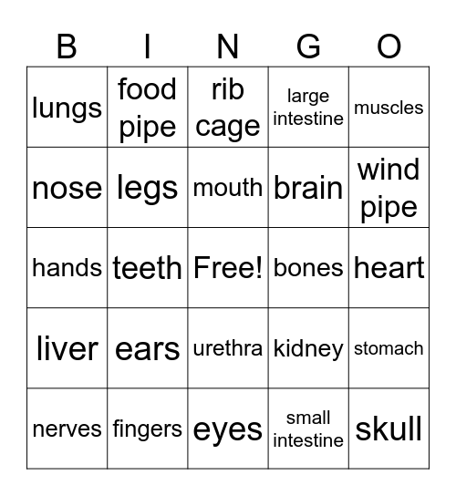 Body parts - Bingo Card