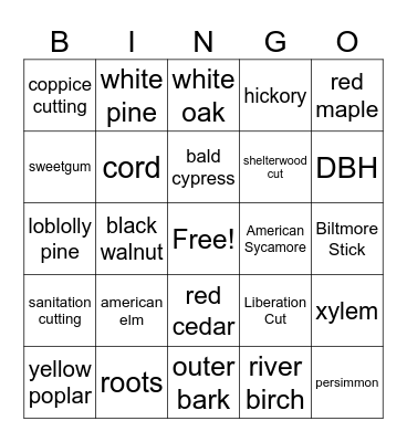 Forestry Bingo Card