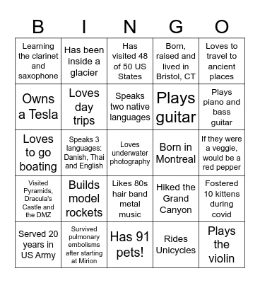 Ice Breaker Bingo Card