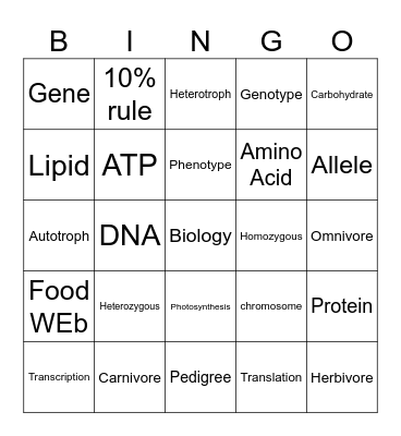 Exam Bingo Card
