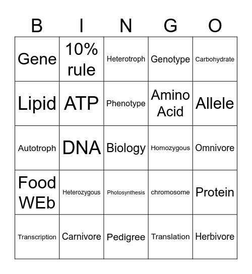 Exam Bingo Card