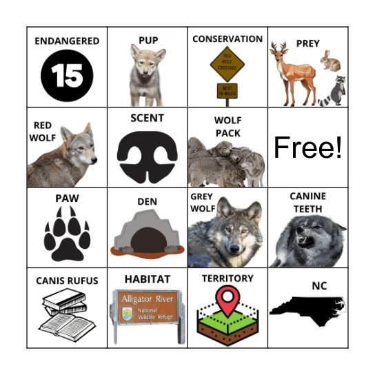 Red Wolves Bingo Card