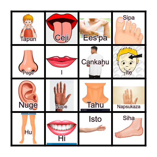 Tancan Cinto Bingo Card