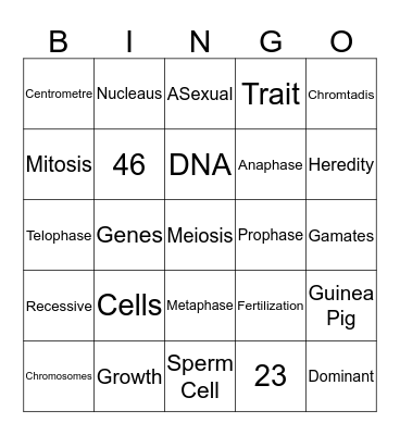 Unit 8 Bingo Card