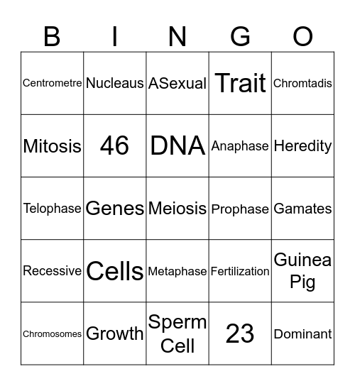 Unit 8 Bingo Card