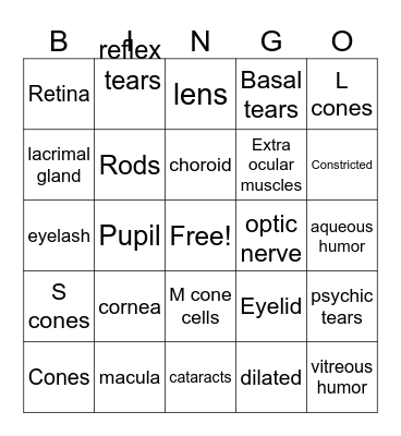 Structures in the Eye Bingo Card