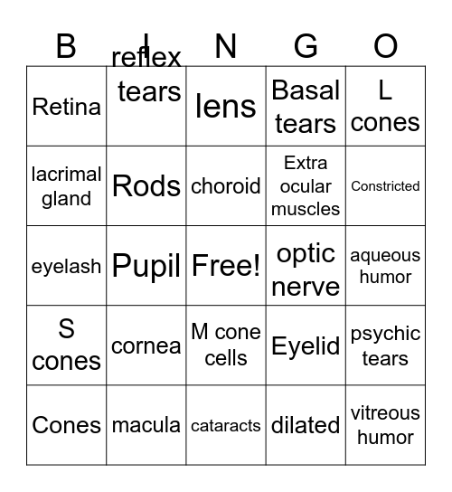 Structures in the Eye Bingo Card