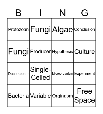 Science BINGO Card