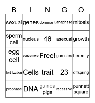 jeremy's king board  Bingo Card