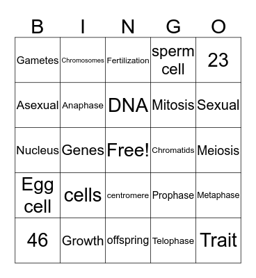 Skylah Bingo Card