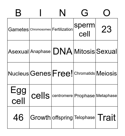 Skylah Bingo Card
