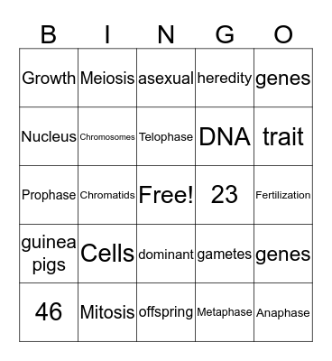 ♔ ♔ ♔ ♔ ♔  Bingo Card