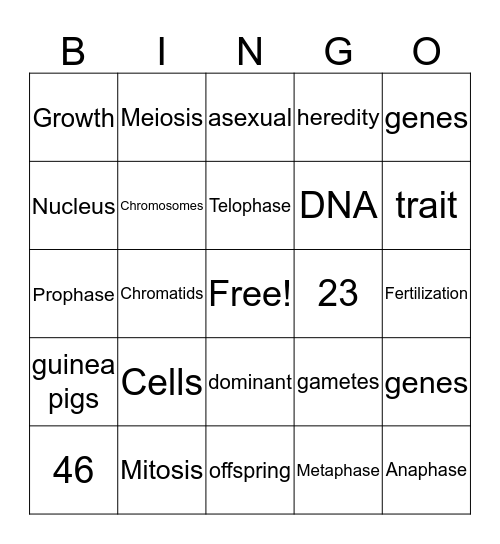 ♔ ♔ ♔ ♔ ♔  Bingo Card