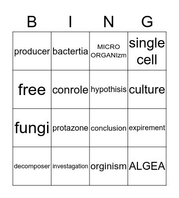 Bingo Card