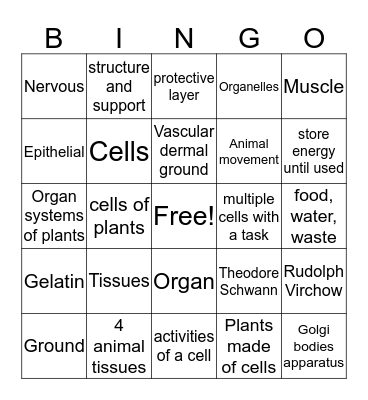 7th Grade Science:  Ch. 10 Part 2 Bartley Bingo Card