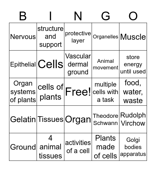 7th Grade Science:  Ch. 10 Part 2 Bartley Bingo Card