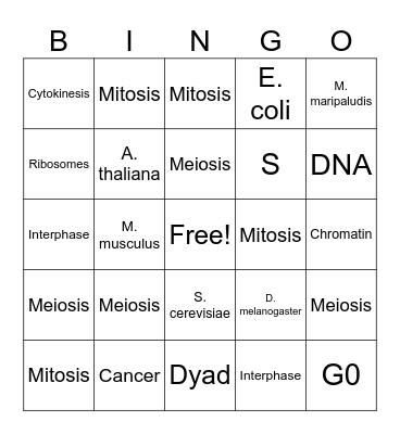 The Cell Cycle & Genetics Bingo Card